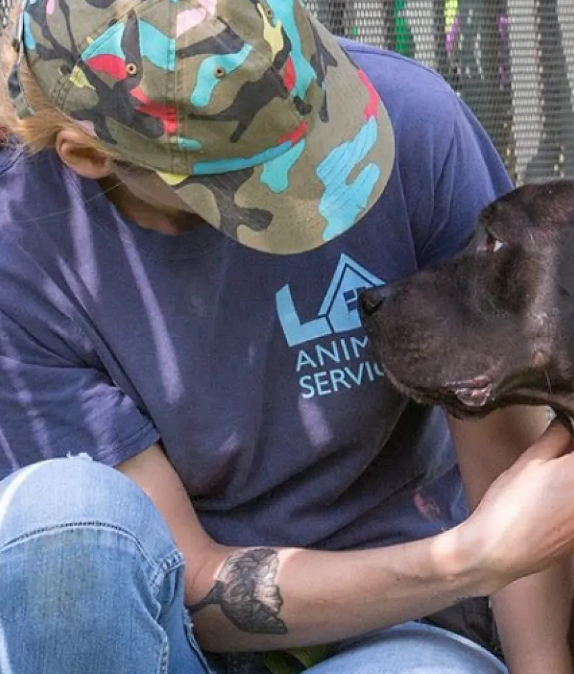 careers-la-animal-services